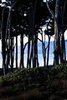 Days End at Lands End