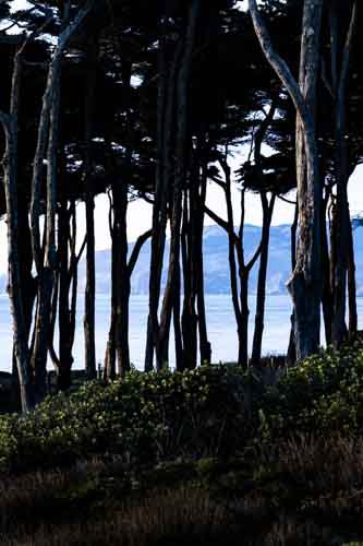 Days End at Lands End