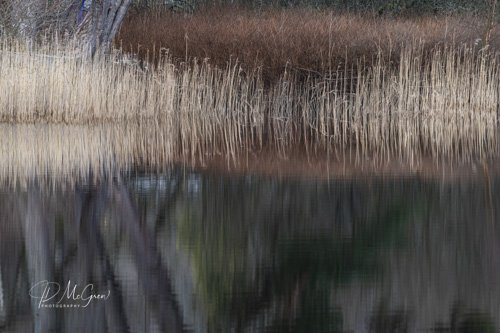 Colors in Loch Ardry Water