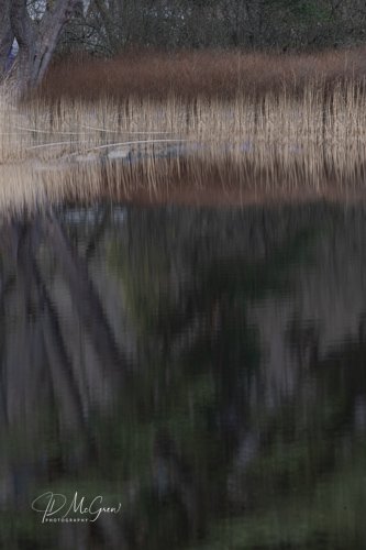 Boats in Grass at Loch Ardry