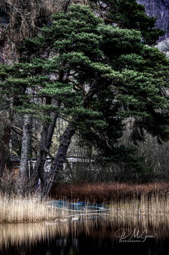 Boats in Grass at Loch Ardry #2