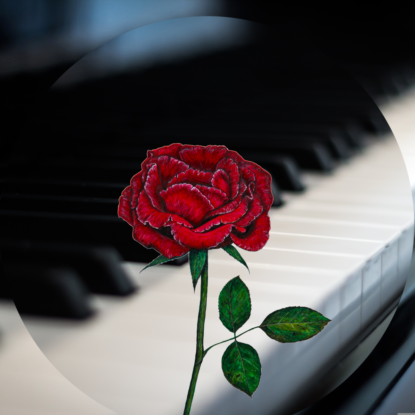 Treasure Trove of Beautiful Christian Music