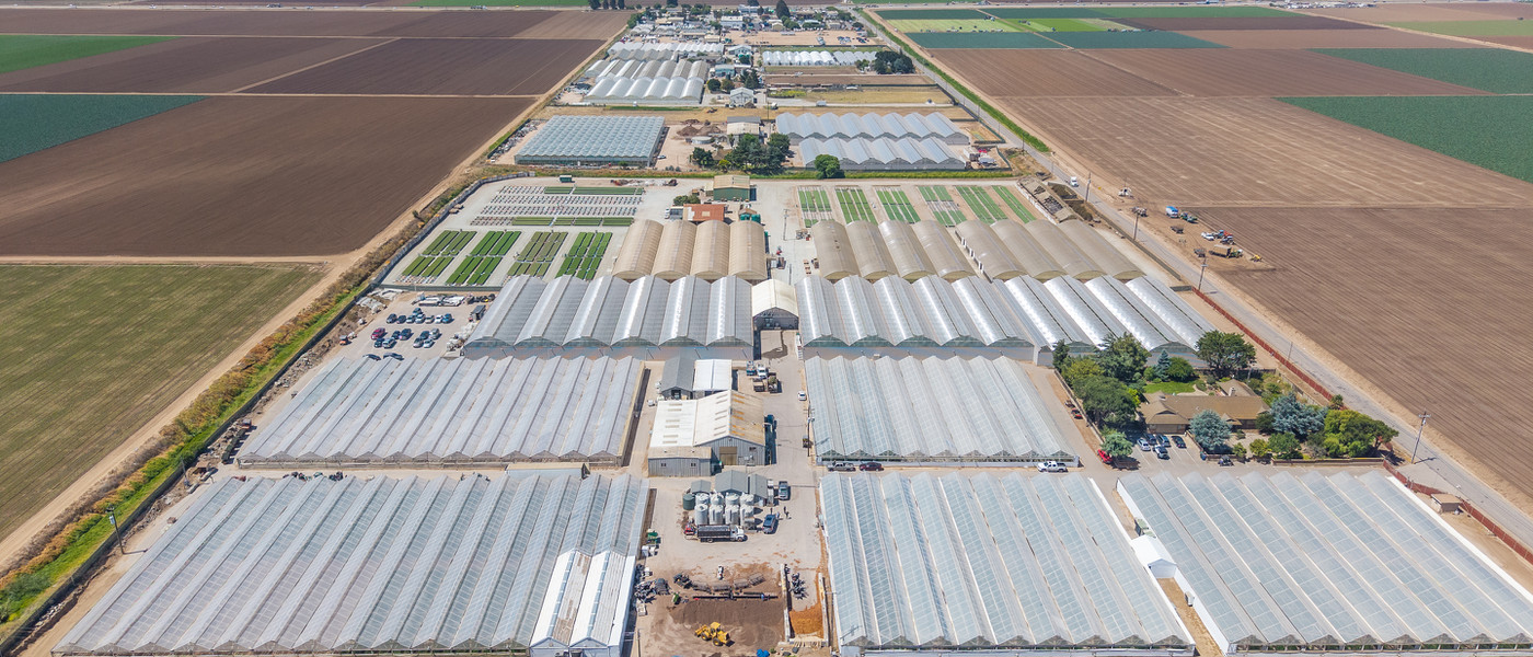 Cannabis Cultivation Processing & Distribution Center